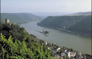 Rhine