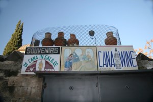 cana carol rothstein